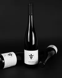 3f8443fd-3621-4145-a2a3-643824b7a0cc