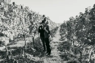 Im Weinberg