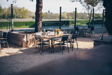 Weingut Karsten Peter_0425-3