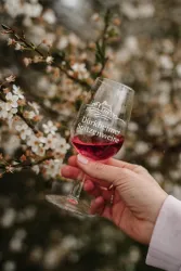 Im Stielglas werden die feinen Tropfen genossen