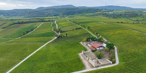 Blick aus der Vogelperspektive (© Stadt Bad Dürkheim)