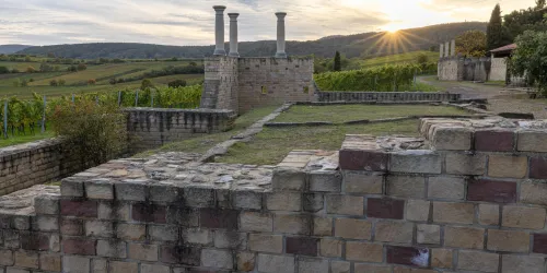 Römervilla mit Weinreben (© Stadt Bad Dürkheim)