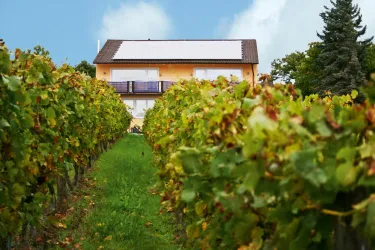 Hausansicht aus Wingert