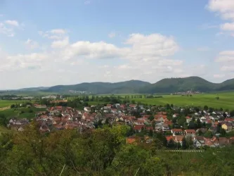 Blick Pfälzer Wald Wiedl