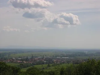 Blick Rheinebene3 Wiedl
