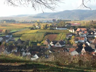 17 Ilbesheim