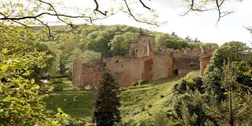 Schloss- und Festungsruine Hardenburg (© melhubach photographie)