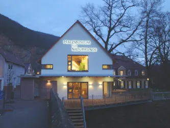 Gebäude bei Nacht