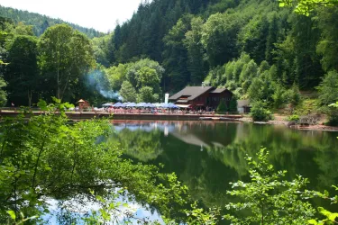 Blockhütte am Isenachweiher (© Stadt Bad Dürkheim)