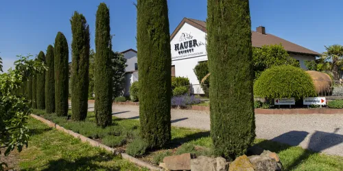 Außenansicht Weingut Hauer