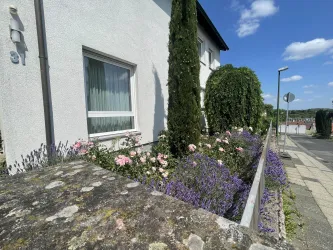 Blühstreifen vorm Haus