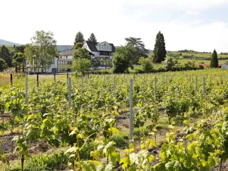 Weingut Pfeffingen