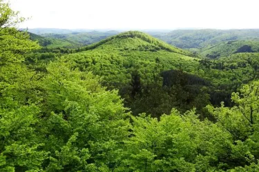 Drachenfels - Westfels Aussicht1