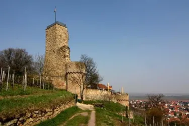 Wachtenburg Wachenheim5