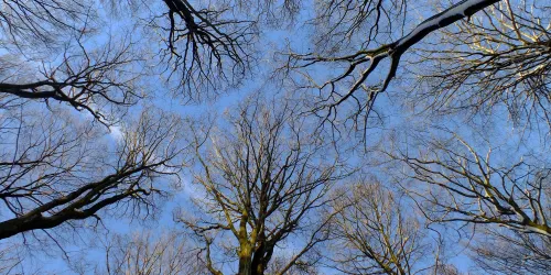Winter (© Stadt Bad Dürkheim)
