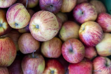 Frisches Obst