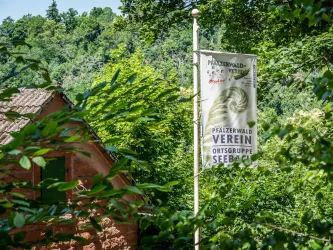 Vereinshhütte mit Fahne (© Pfälzerwald-Verein e.V. Ortsgruppe Seebach)