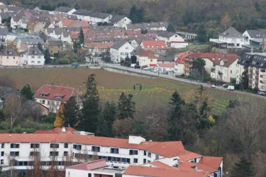 Abtsfronhof von Oben (© Stadt Bad Dürkheim)