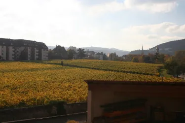 Abtsfronhof im Herbst (© Stadt Bad Dürkheim)