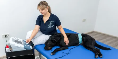 Stromtherapie (© Stadt Bad Dürkheim)