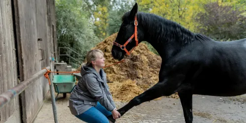 Manuelle Therapie (© Stadt Bad Dürkheim)