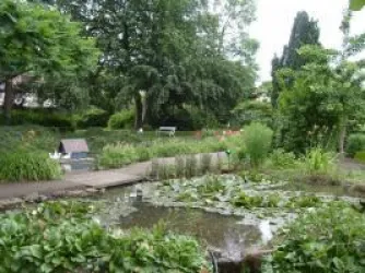 Weingut: Teich + Garten