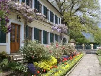 Weingut: Garten