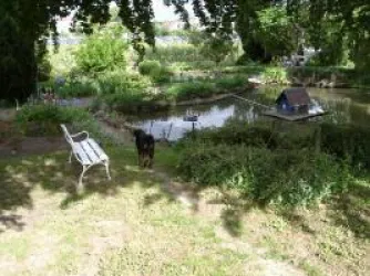 Blick aus Ferienhaus zum Teich