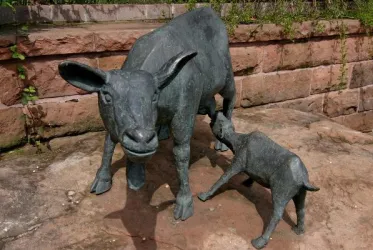 Ziegengruppe