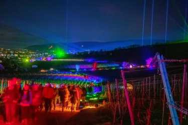 6 Kilometer ist die Open-Air-Weinwanderung