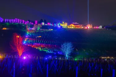 Lichtinstallationen auf der Weinbergnacht