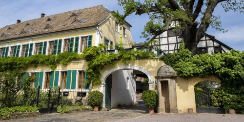 Aussenansicht Weingut Fitz-Ritter (© Stadt Bad Dürkheim)