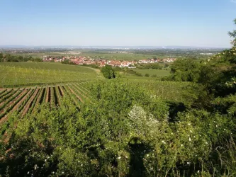 Aussicht