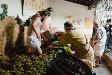 In der Römerkelter werden Trauben getreten.