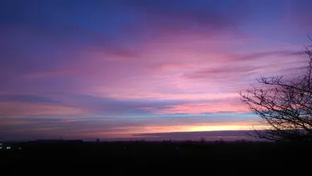 IMAG0285