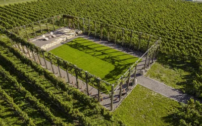 Weingut Fitz Ritter Rebarena Luftbild