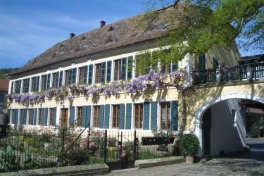 Vorgarten im April