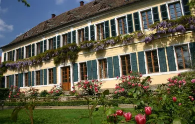 Weingut