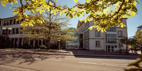 Haupteingang (© Stadt Bad Dürkheim)