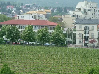 Aussenansicht (© Stadt Bad Dürkheim)