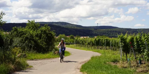 Radfahrerin in den Weinbergen mit Pfälzer Wald (© Stadt Bad Dürkheim)