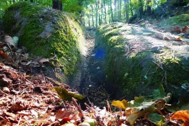 Römische Wagenspuren