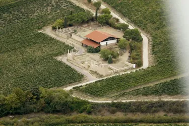 Weilberg Luftaufnahme (© Stadt Bad Dürkheim)