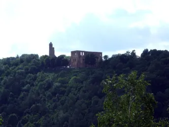 Blick zur Klosterruine Limburg