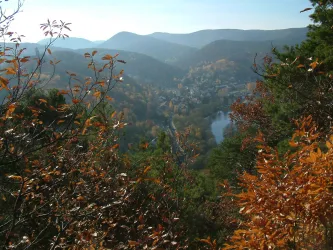 Ausblick auf den Herzogweiher (© Stadt Bad Dürkheim)
