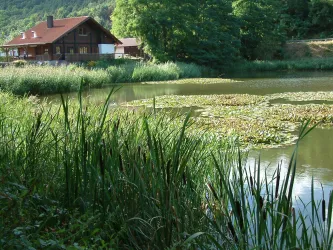 Seitenansicht Herzogweiher (© Stadt Bad Dürkheim)
