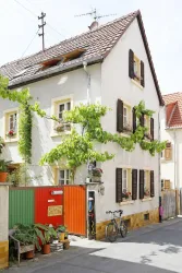 Außenansicht (© Stadt Bad Dürkheim)