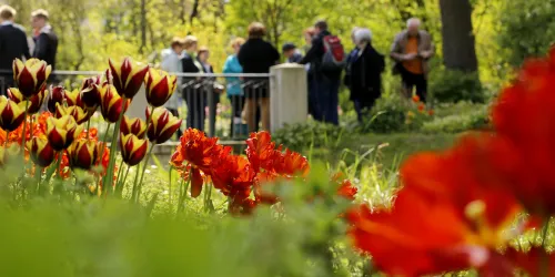 Kurpark