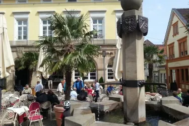 Cortina Außenbereich