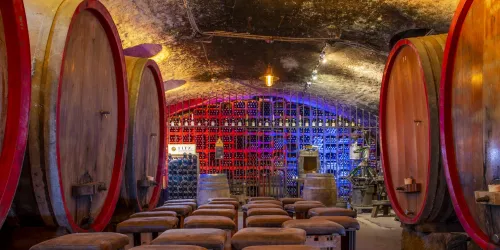 Weingut Fitz-Ritter - Gewölbekeller 2 (© Stadt Bad Dürkheim)